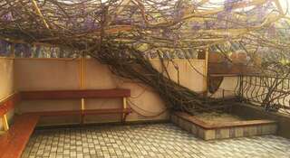 Гостевой дом Солнечный бриз Солнечногорское-3