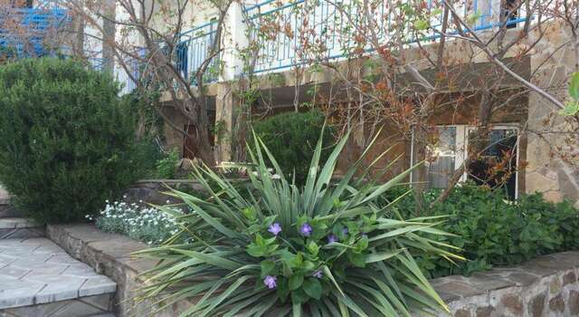 Гостевой дом Солнечный бриз Солнечногорское-13